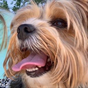 Meet your Posher, Renee